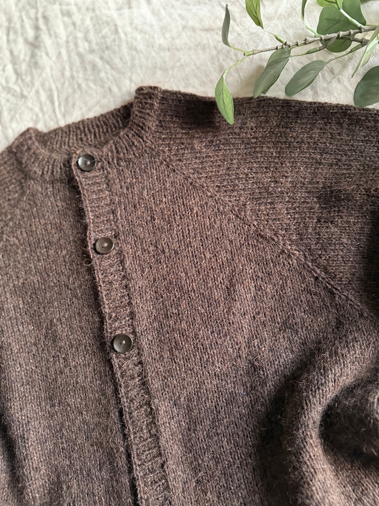 Björk - hneppt dömupeysa